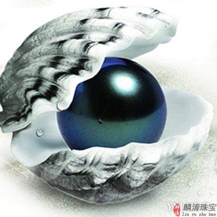 黑珍珠的价格是多少？教你挑选好黑珍珠的三种方法插图1