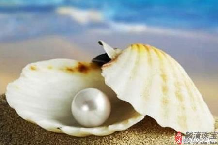 教你如何挑选顶级珍珠插图4