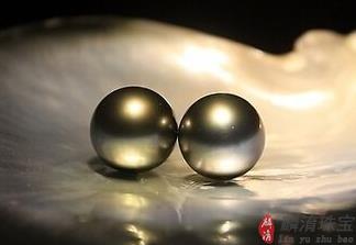 珍珠养殖方法-长成珍珠