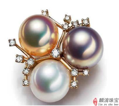 黑珍珠 