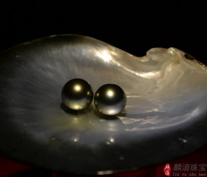 真麻珍珠价格