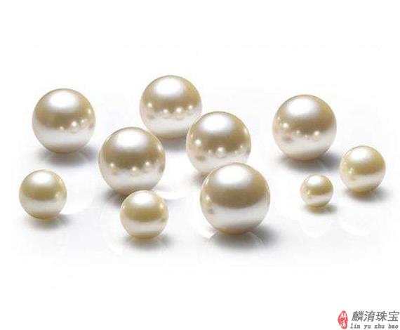 珍珠育苗技术要点是什么？插图
