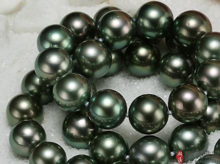 海水珍珠最好吃的是什么