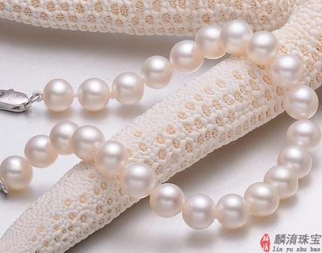 淡水珍珠项链价格