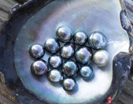 》》点击进入【灵动】 白18K金南洋金珍珠吊坠